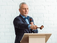 Adding an Auctioneer Profile
