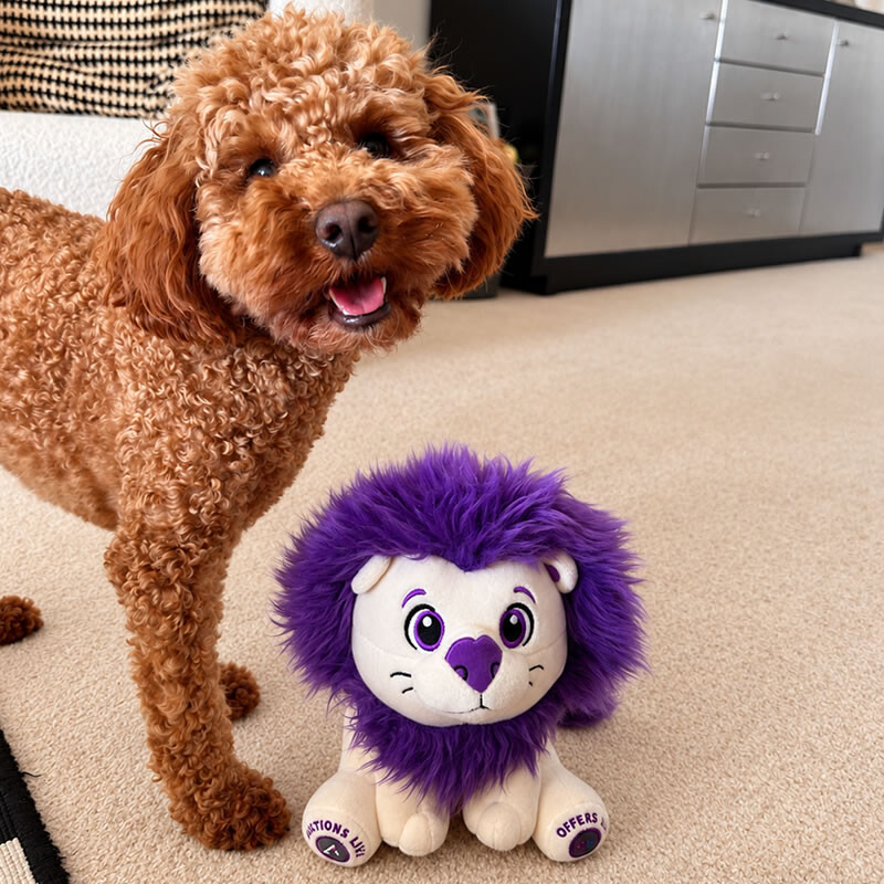Biscoff meets Live the Lion