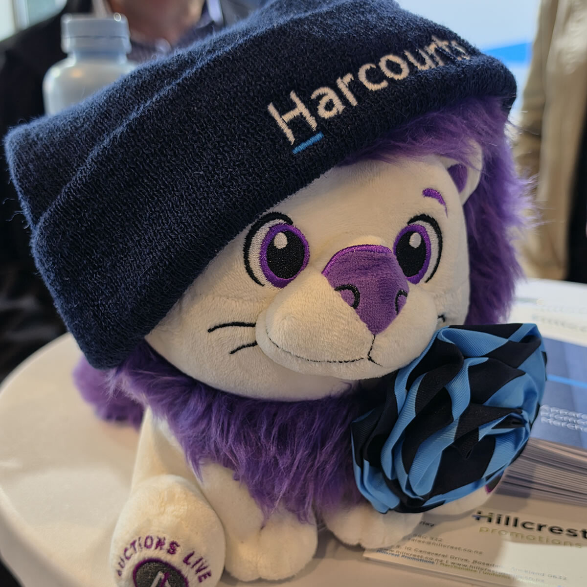 Live the Lion on competition day