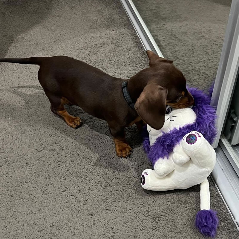 Darcy meets Live the Lipn