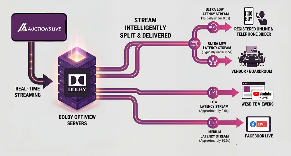 Dolby OptiView streaming workflow