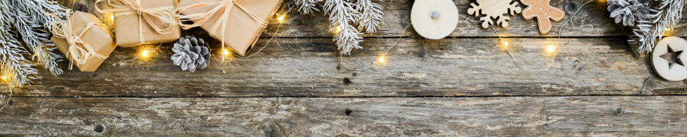 RE Software Christmas Holiday Schedule