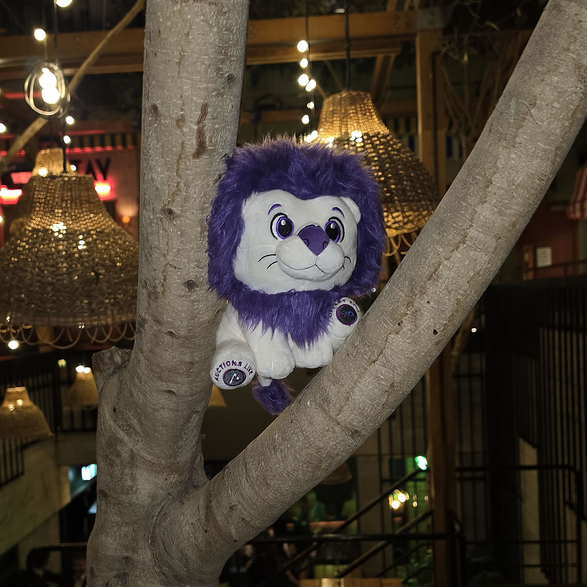 Live the Lion with the team
